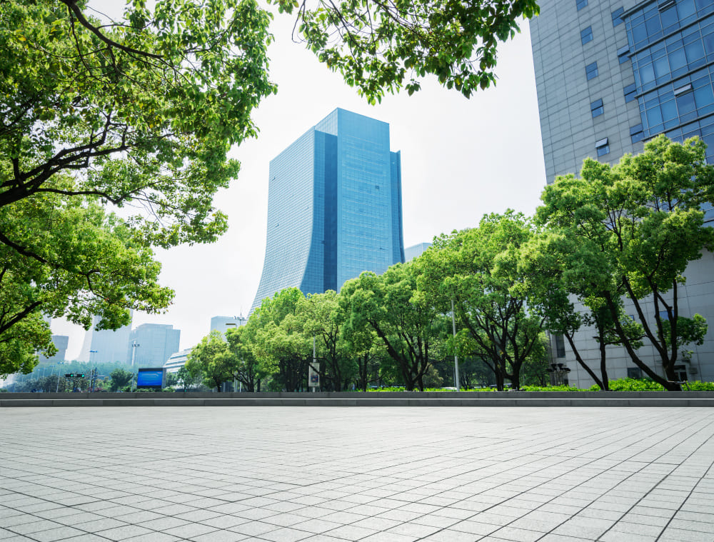 Renewable Energy in Construction Projects